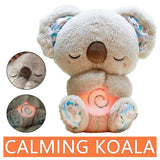 Calming Koala